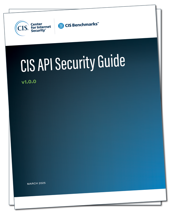 API Security Guide v1.0.0 